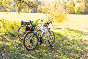 bicycles